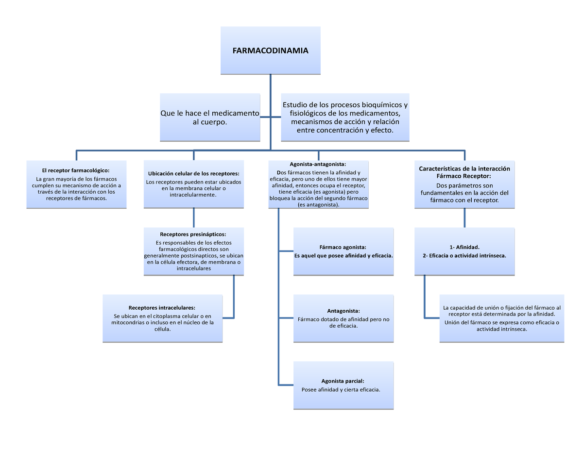 Farmacodinamia Mapa Conceptual Farmacodinamiafarmacodinamia El Receptor Farmacológico La Gran