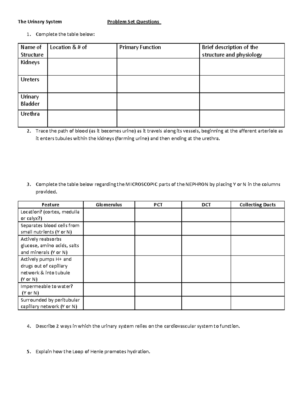 Urinary Problem Set - The Urinary System Problem Set Questions Complete ...