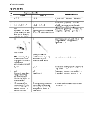 Potegi Sprawdzian W 7 Klasie - POTĘGI – Sprawdzian ####### NUMER ...