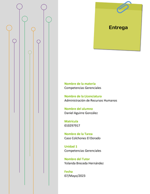 Competencias Gerenciales 1 - Todo Tipo De Empresas Y Organizaciones ...