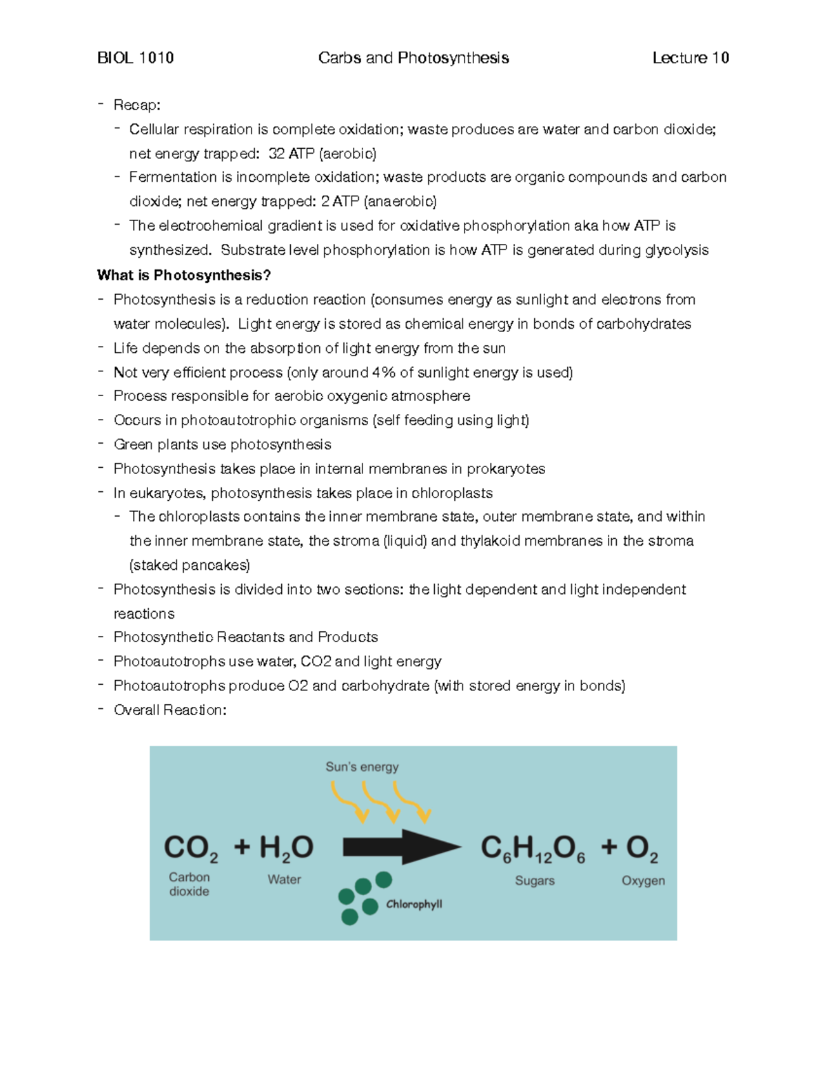 Biology I; Lecture 10; Photosynthesis (PDF) - BIOL 1010 Carbs and ...