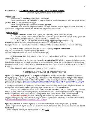 Chapter 34- Plant Form and Function lecture notes - Plant Form and ...