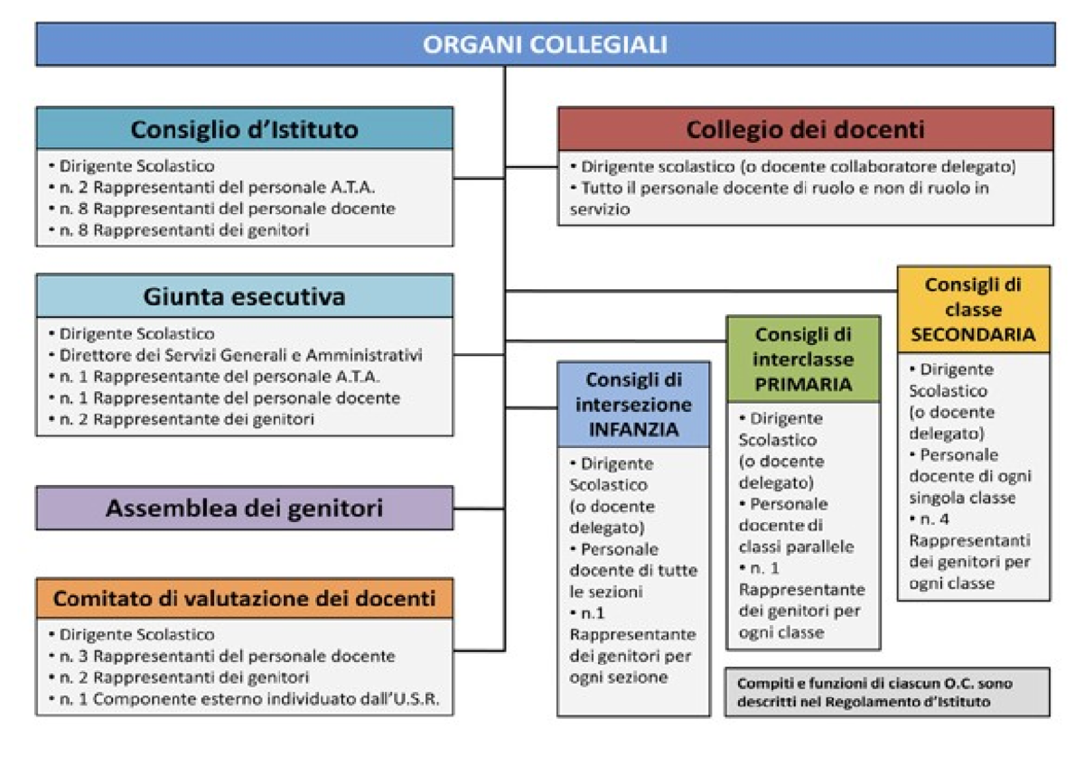 Organi Collegiali - TFA - TFA sostegno - unilink - Studocu