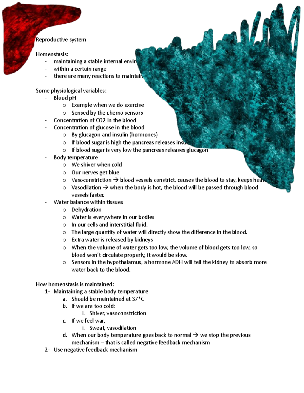 6.6 Reproductive system - Reproductive system Homeostasis ...