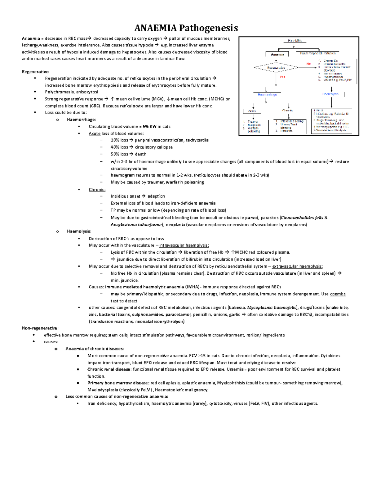 Summary - anameia pathogenesis - ANAEMIA Pathogenesis Anaemia ...