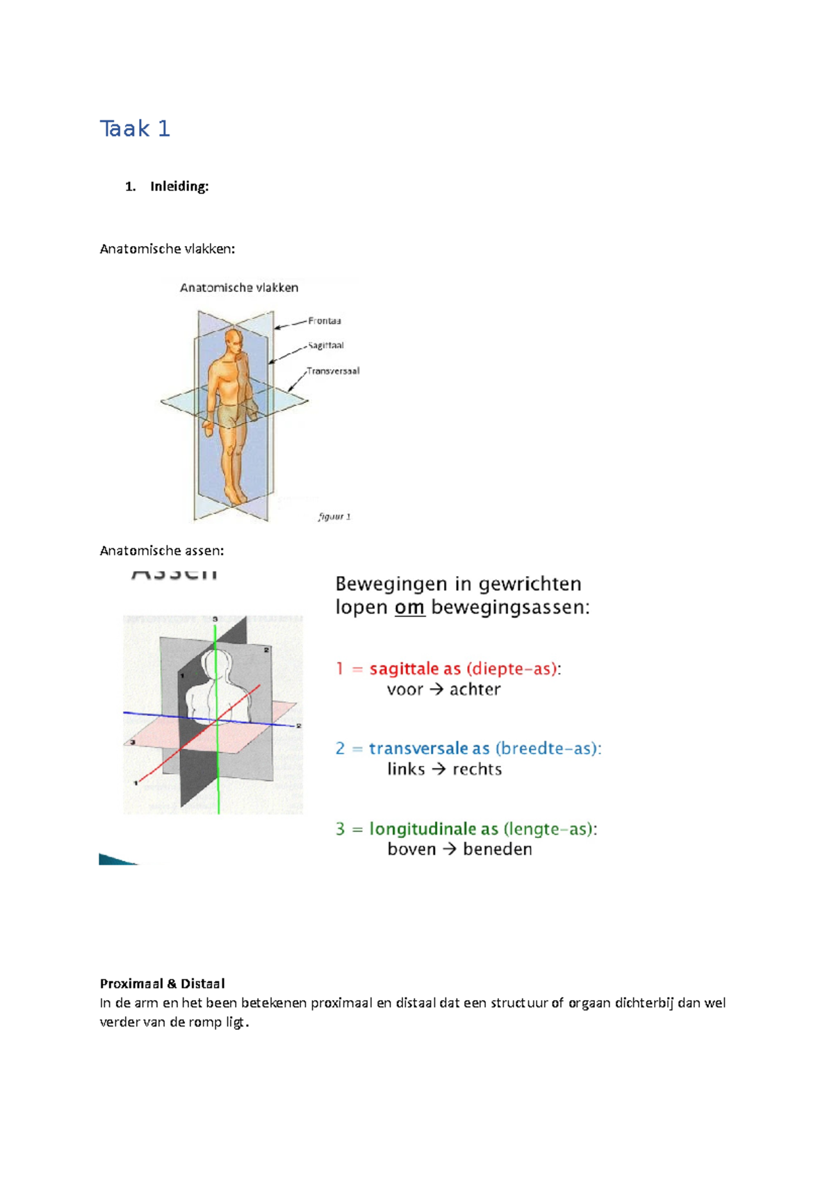 Taak 1 VH - VH Taak 1 - Taak 1 Inleiding: Anatomische Vlakken ...