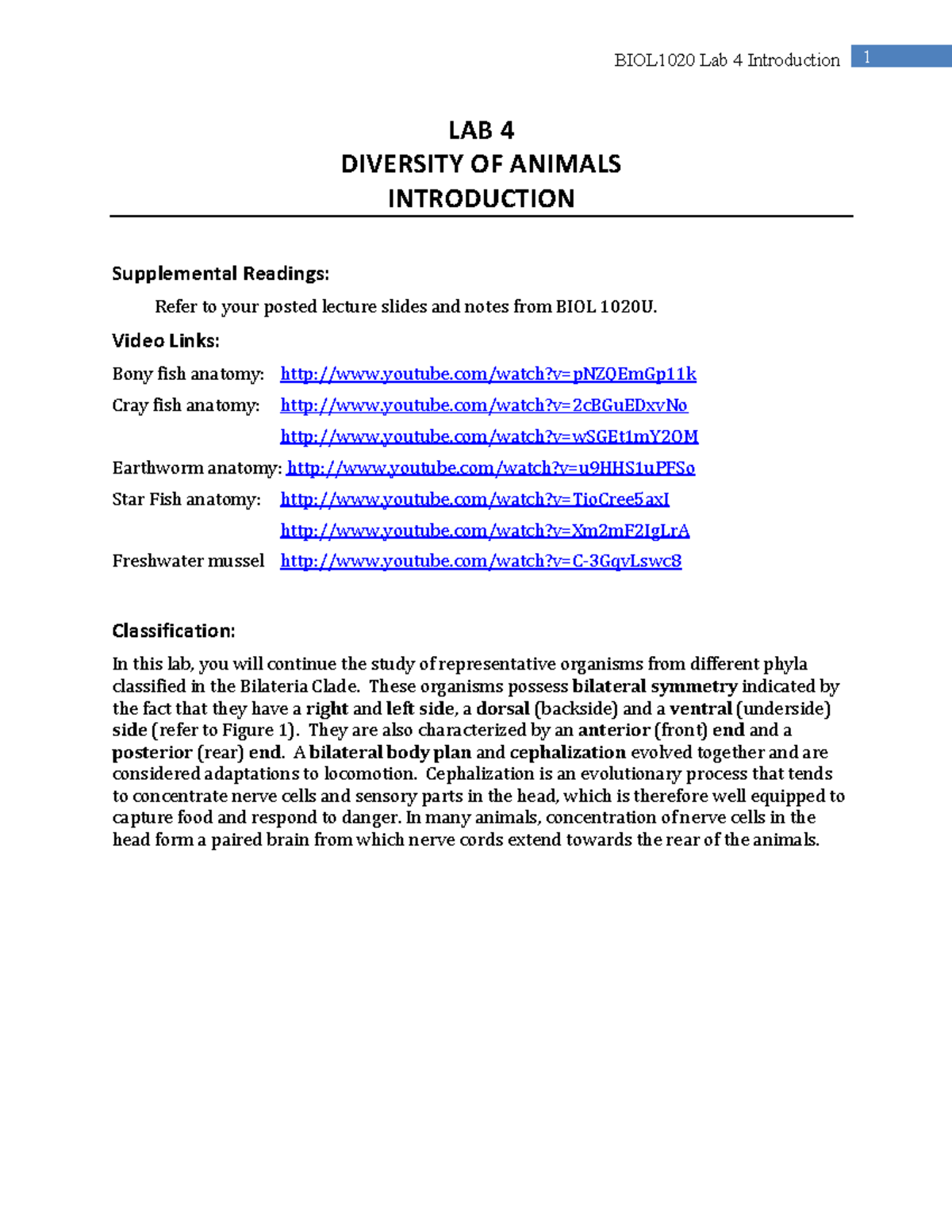 Lab+4+Introduction+S2024 - LAB 4 DIVERSITY OF ANIMALS INTRODUCTION ...
