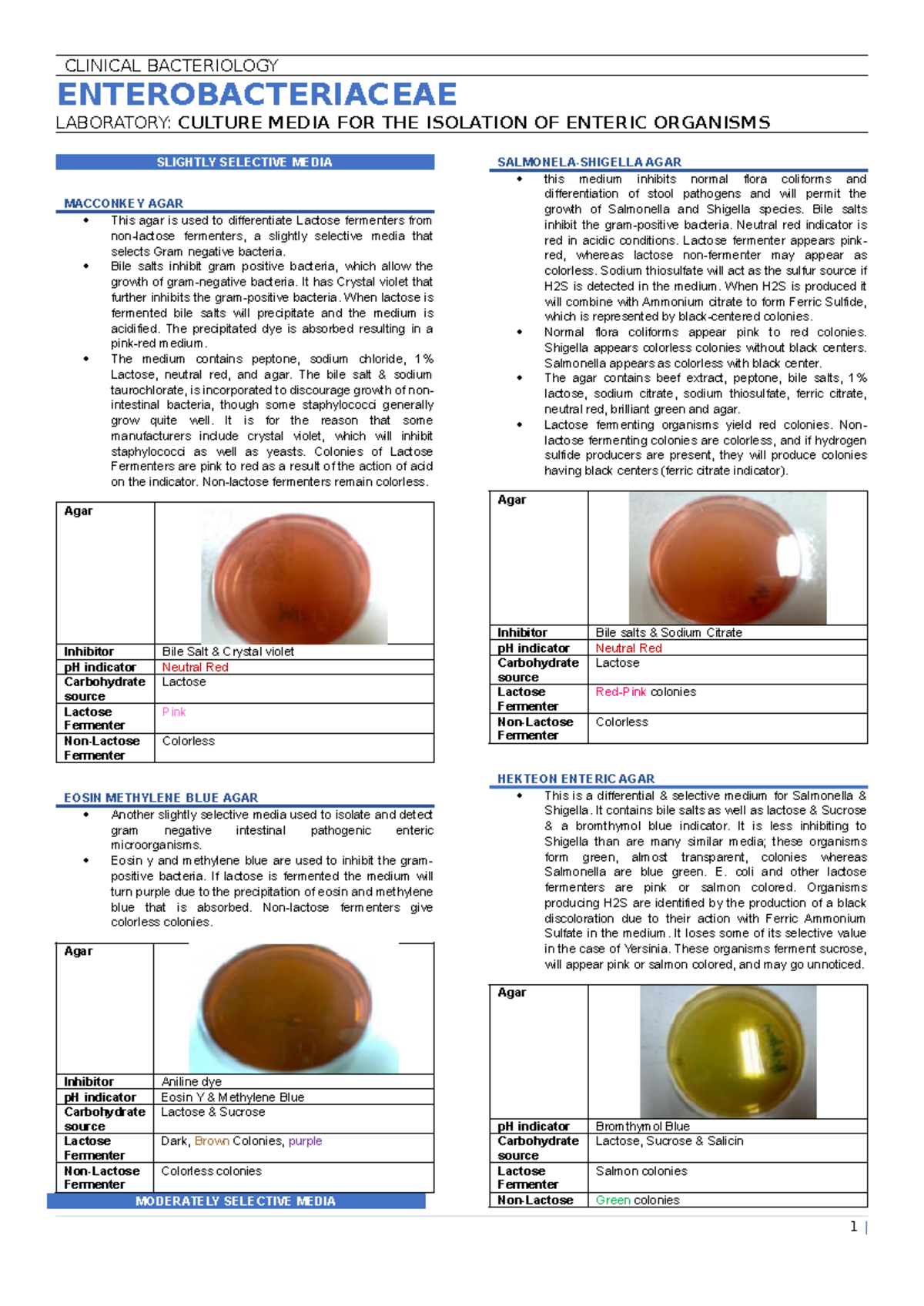 ENTEROBACTERIACEAE CLINICAL BACTERIOLOGY ENTEROBACTERIACEAE LABORATORY CULTURE MEDIA FOR THE