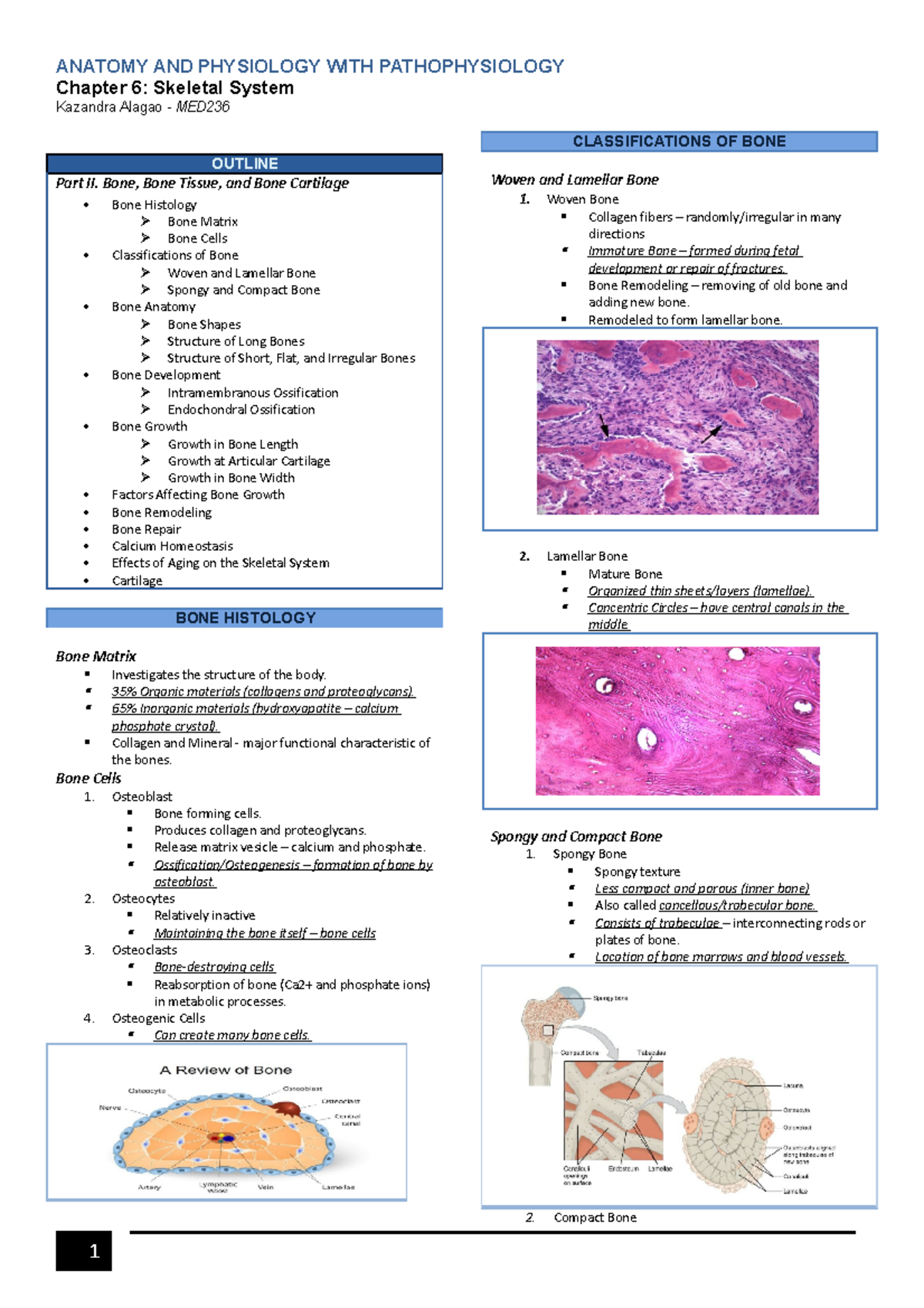 Chapter 6 Anaphy - Chapter 6: Skeletal System Kazandra Alagao - MED ...