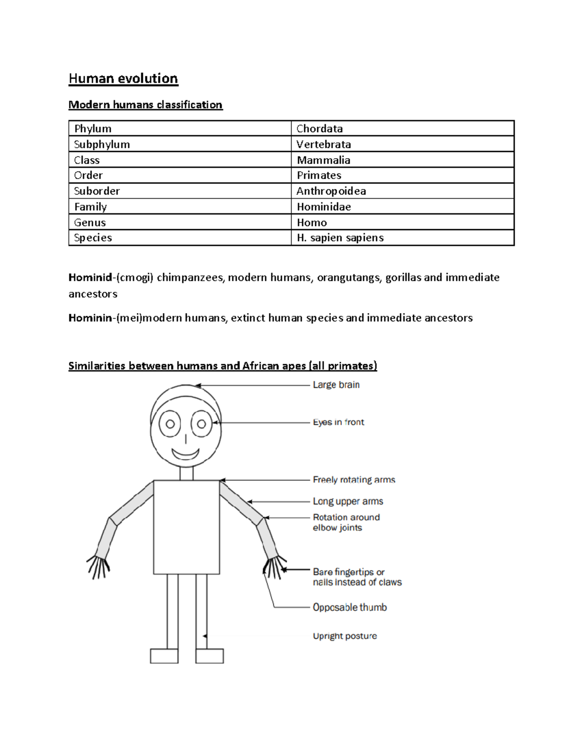 Human Evolution - RESEEARCH - Human evolution Modern humans ...