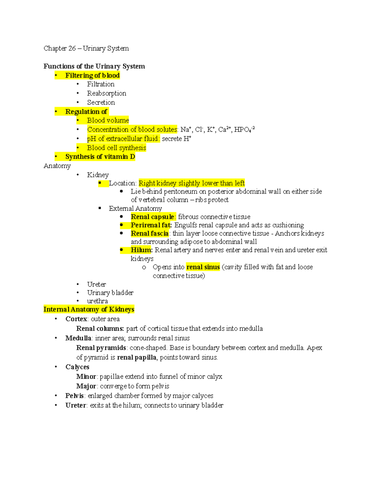 Chapter 26 - Urinary System - Chapter 26 – Urinary System Functions Of ...