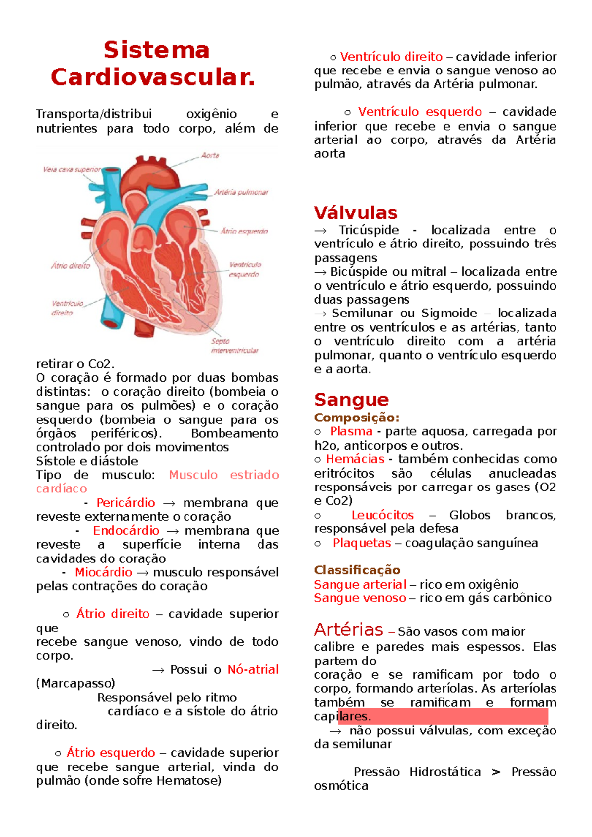 Sistema Cardiovascular - Transporta/distribui Oxigênio E Nutrientes ...