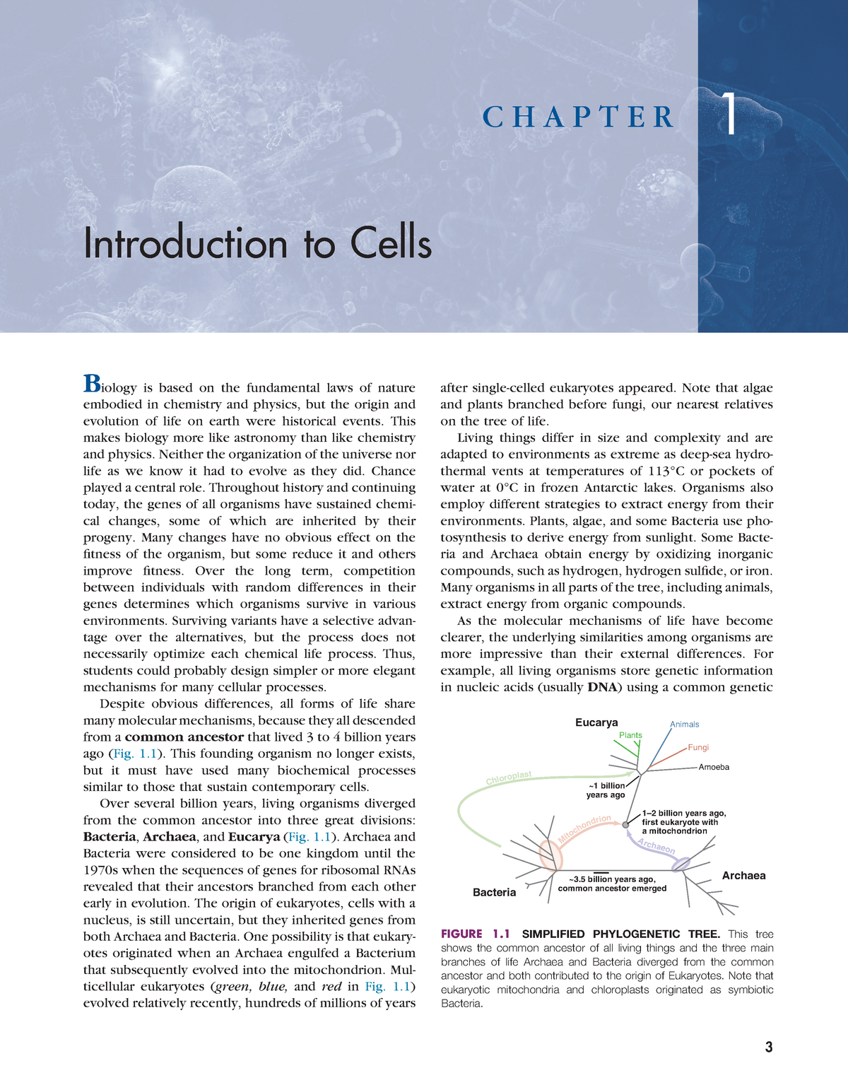 Chapter-1-Introduction-to-Cells 2017 Cell-Biology - 3 C H A P T E R ...