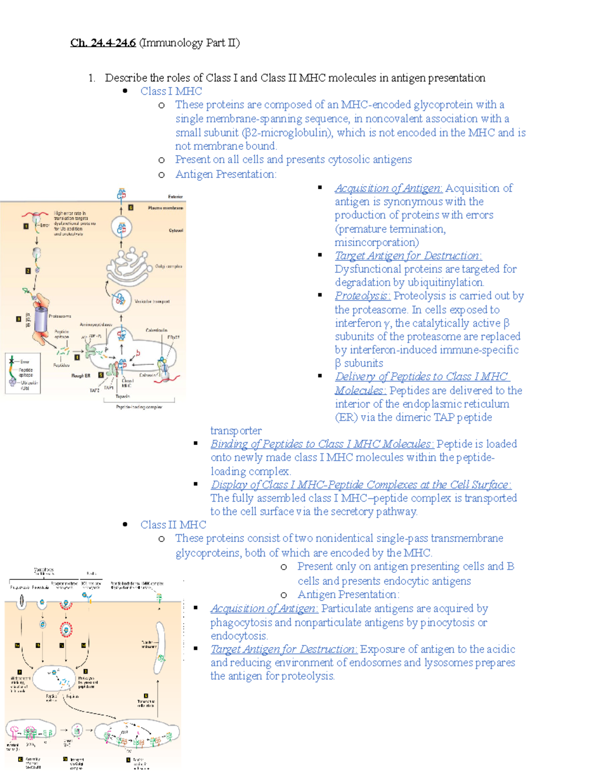 Ch. 24 - Notes on Cancer Biology Part 2 - Describe the roles of Class I ...