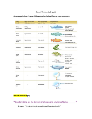 Exam 3 Review study guide - Exam 3 Review study guide Osmoregulation – know  different animals in - Studocu