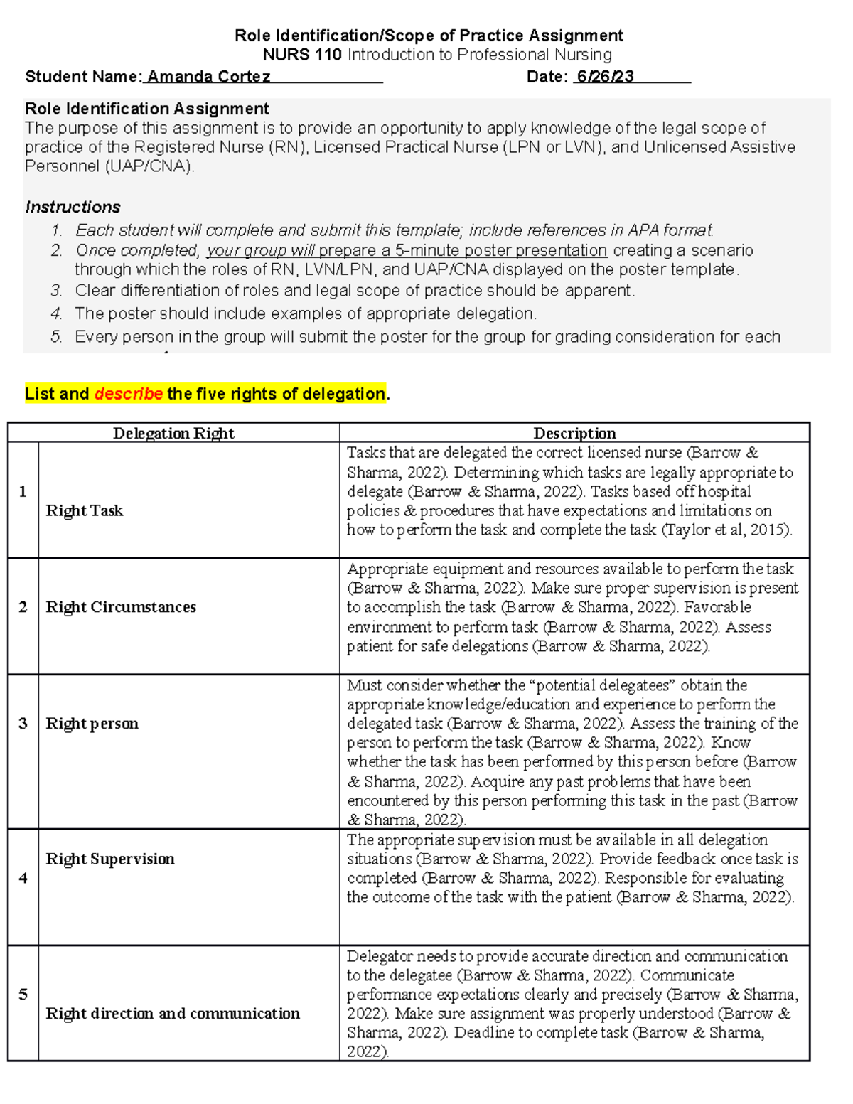 Role Idenitification Individual Scope of Practice Assignment