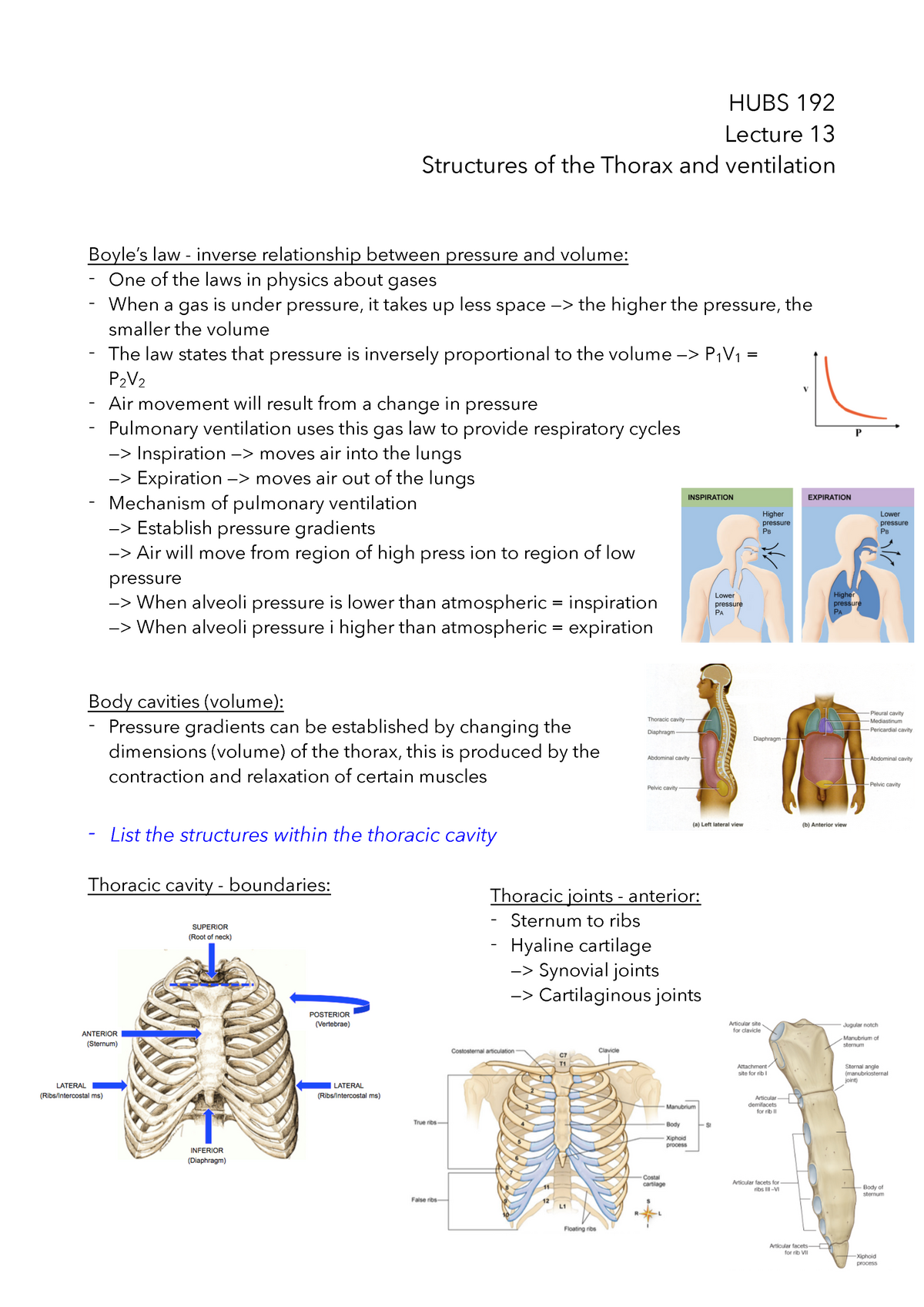 Lecture 13 - Structures of thorax and ventilation - HUBS 192 Lecture 13 ...