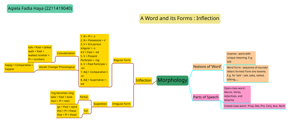 a-word-and-its-forms-inflection-mind-mapping-morphology-notions-of