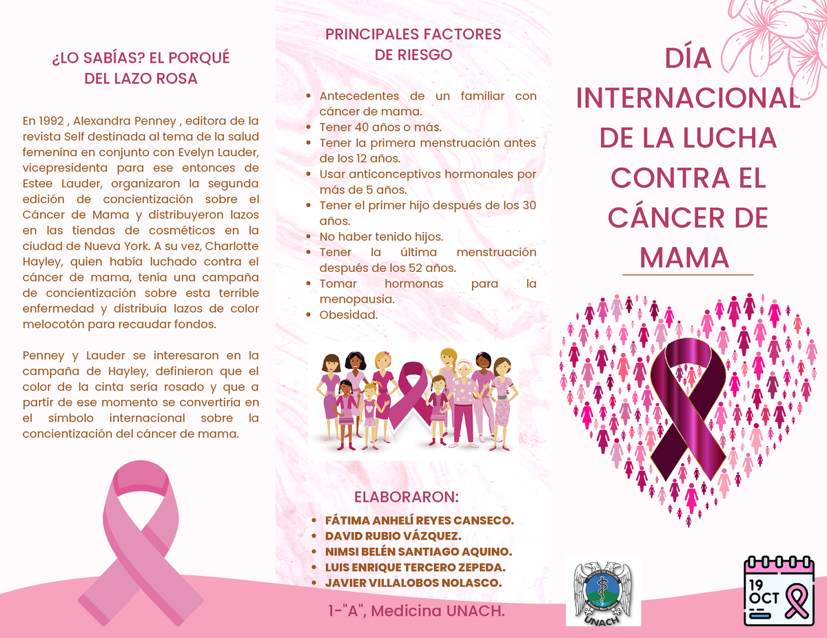 Triptico 19 Octubre Cancer De Mama Unach Medicina Campus Iv En 1992 Alexandra Penney 0022