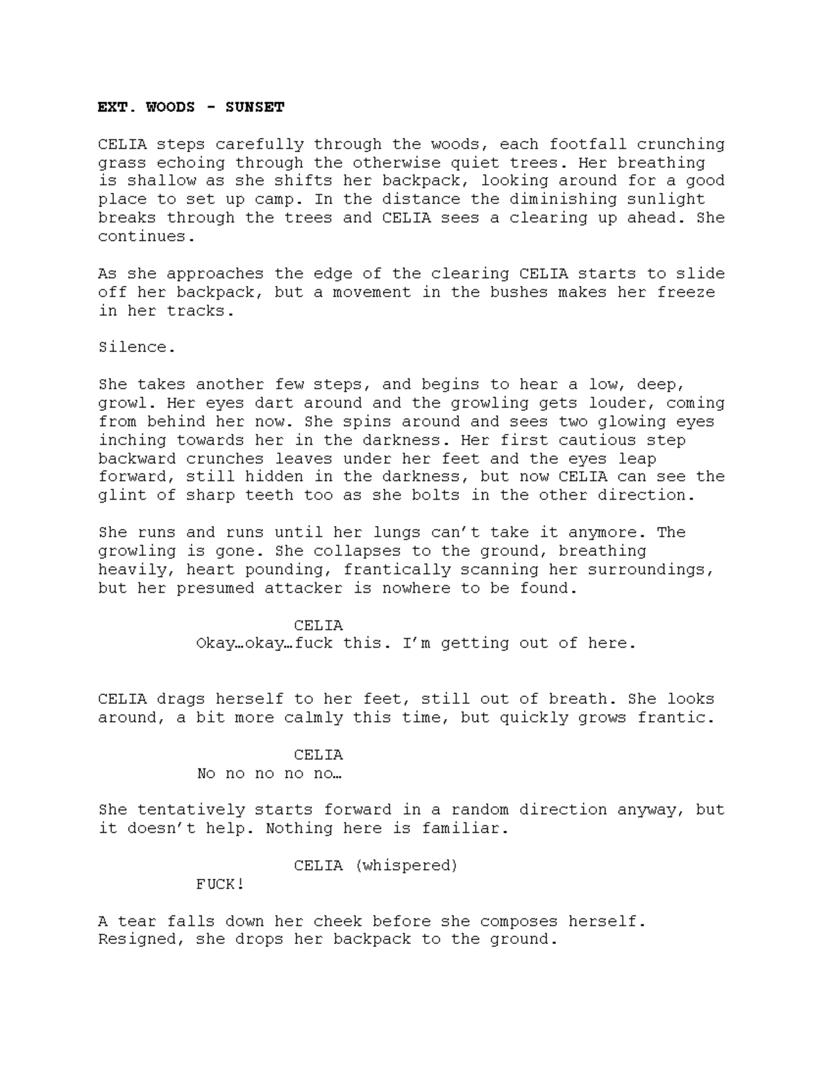 Screenwriting Location Descriptions - EXT. WOODS - SUNSET CELIA steps ...