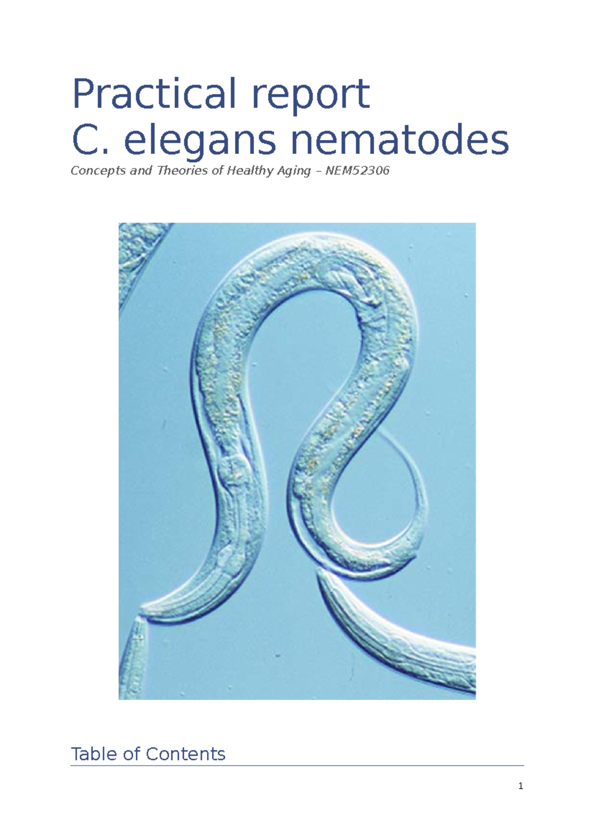 Practical report C. elegans - Practical report C. elegans nematodes ...