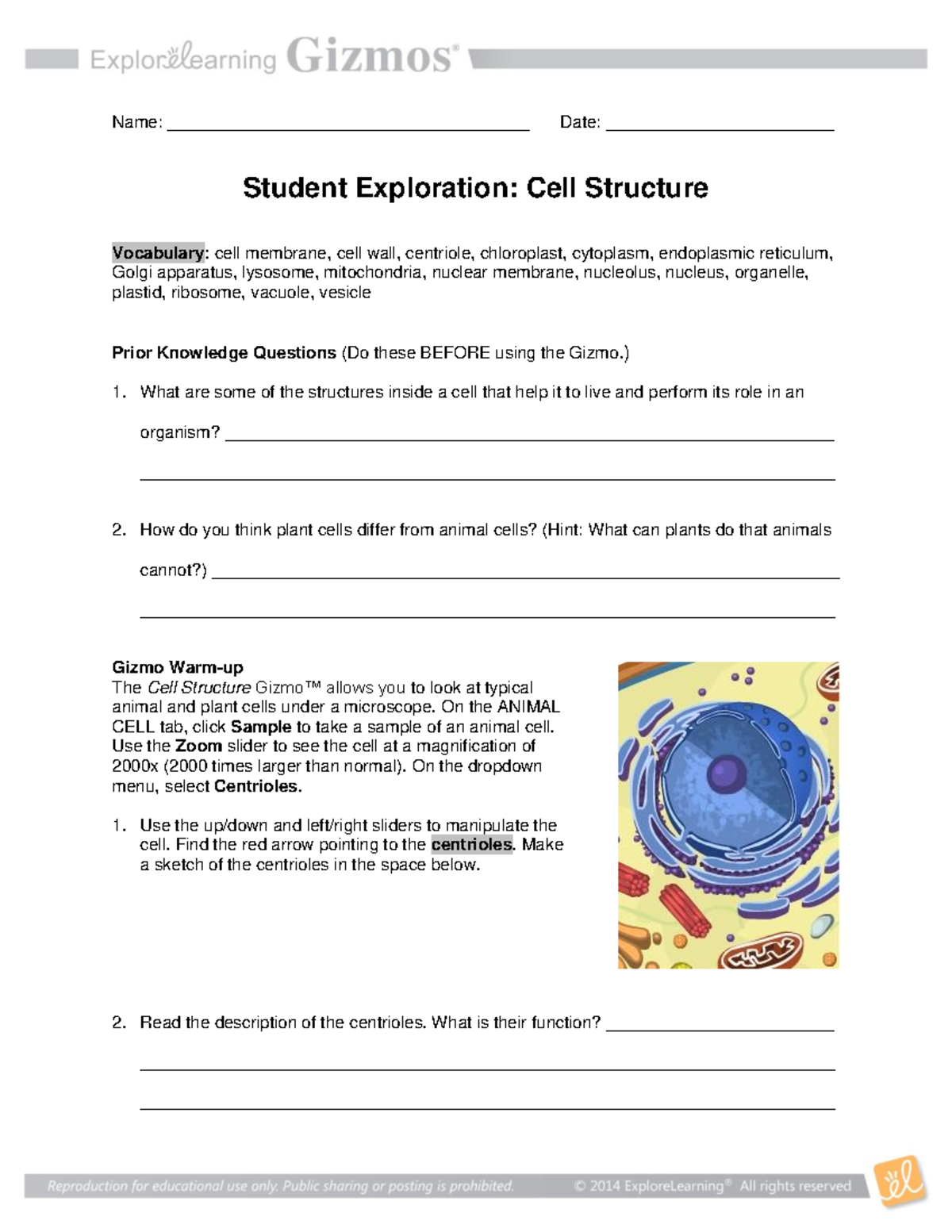 3Cell Structure SE-3 - tutorial work - Name ...