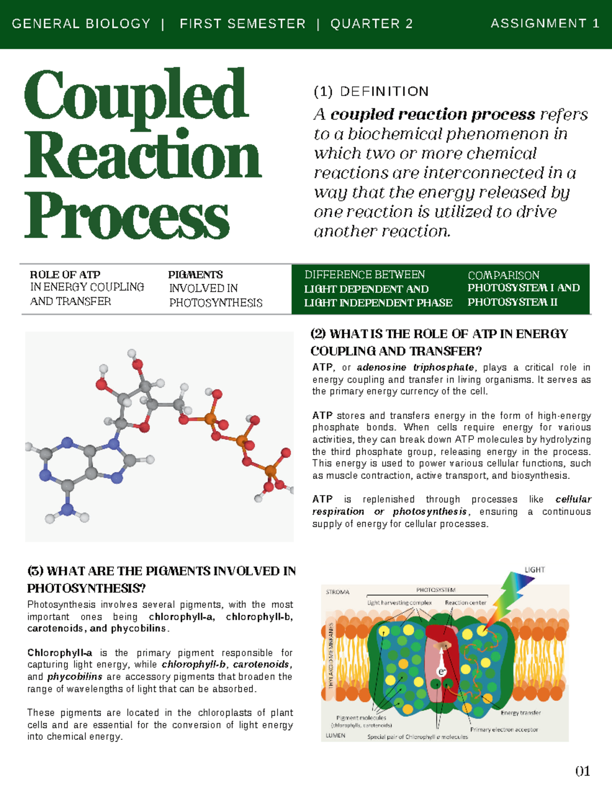 Genbioq 2 ASS1 general biology 1 coupled reaction process 01