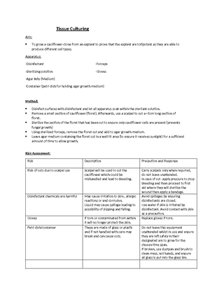 [TSG] Essay Plan Template-40 Academic writing skills examples of essay ...