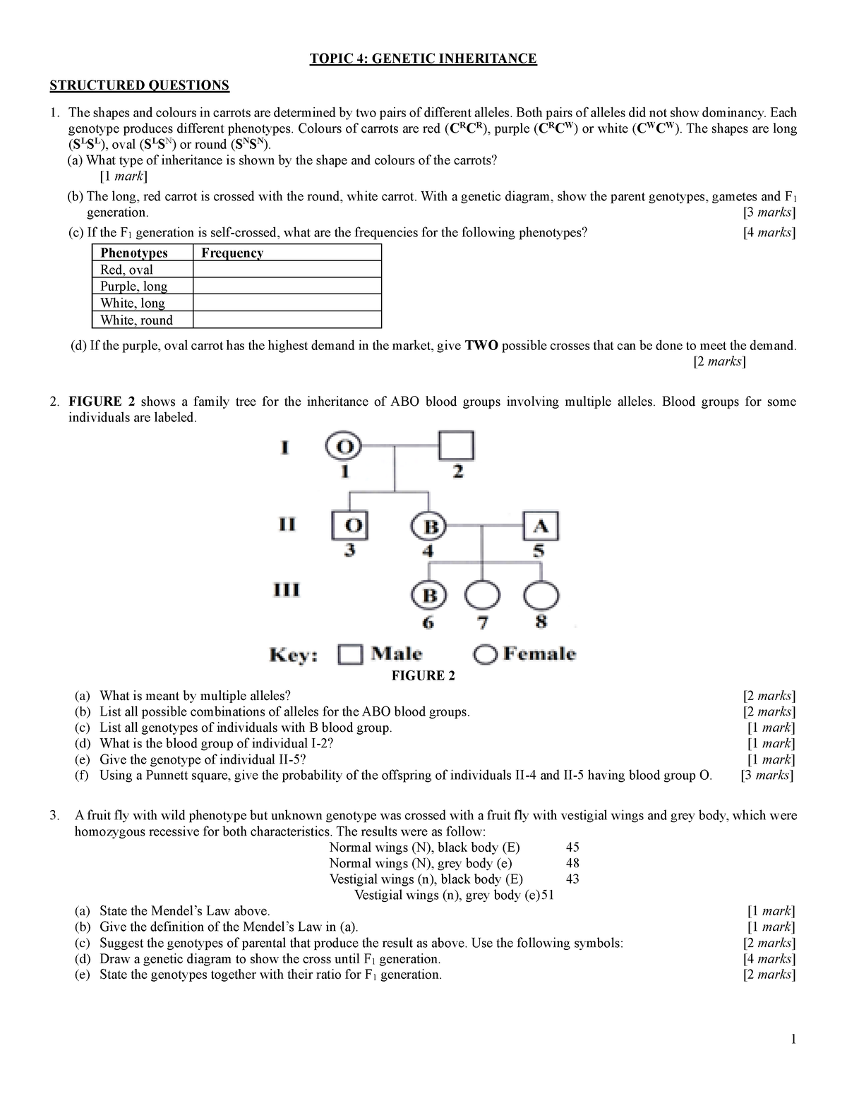 essay questions and answers from inheritance