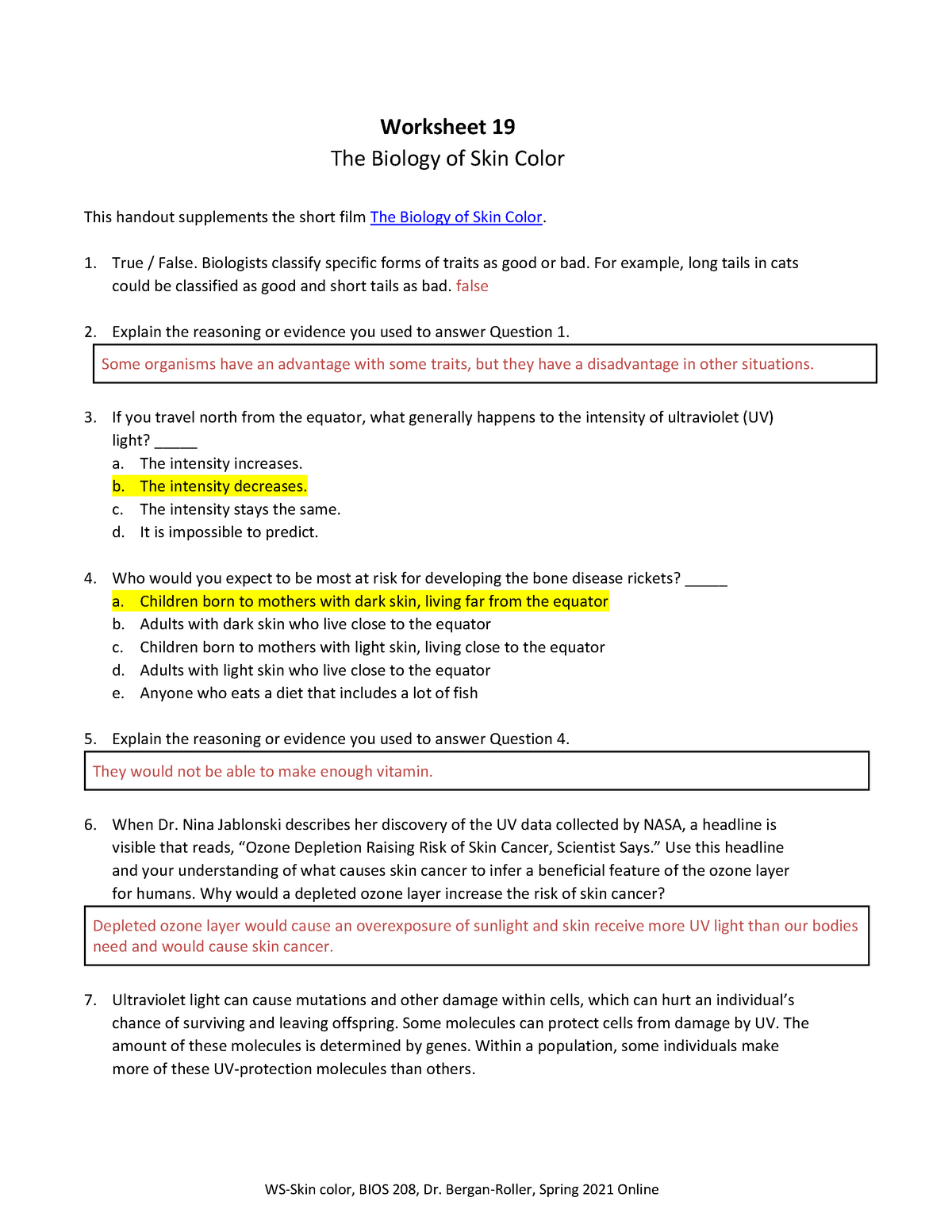 the-biology-of-skin-color-worksheet-answers-biointeractive-studying