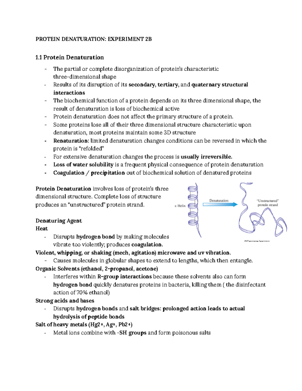 Biochem lab notes PROTEIN DENATURATION EXPERIMENT 2B 1 Protein