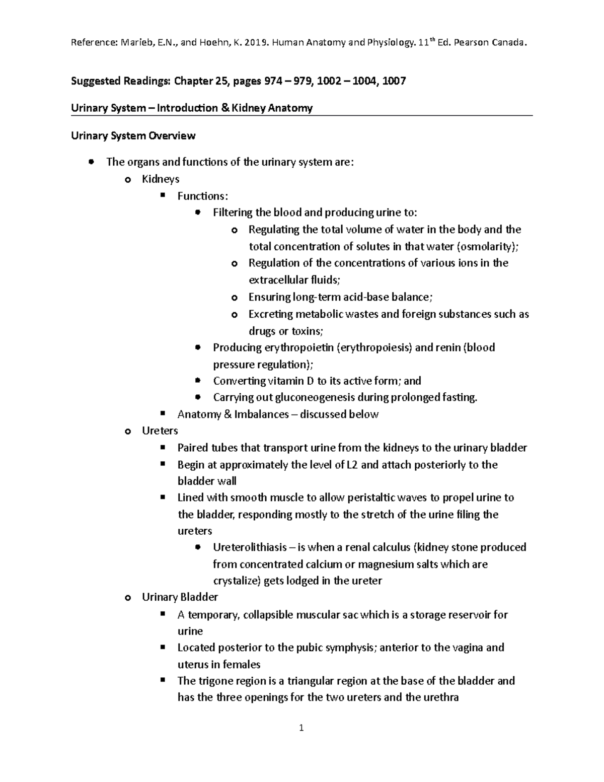 Introduction to the Urinary System Kidney Anatomy - Reference: Marieb ...