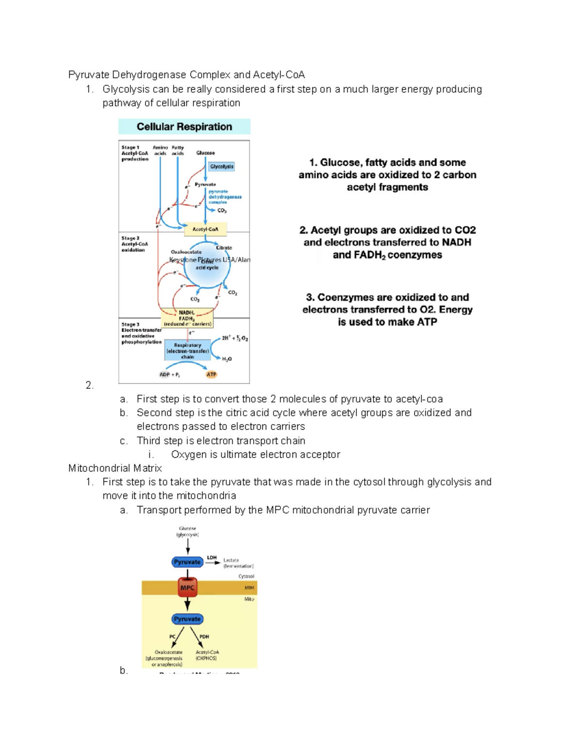 L24A - Lecture notes 24A - BIO 361 - SBU - Studocu