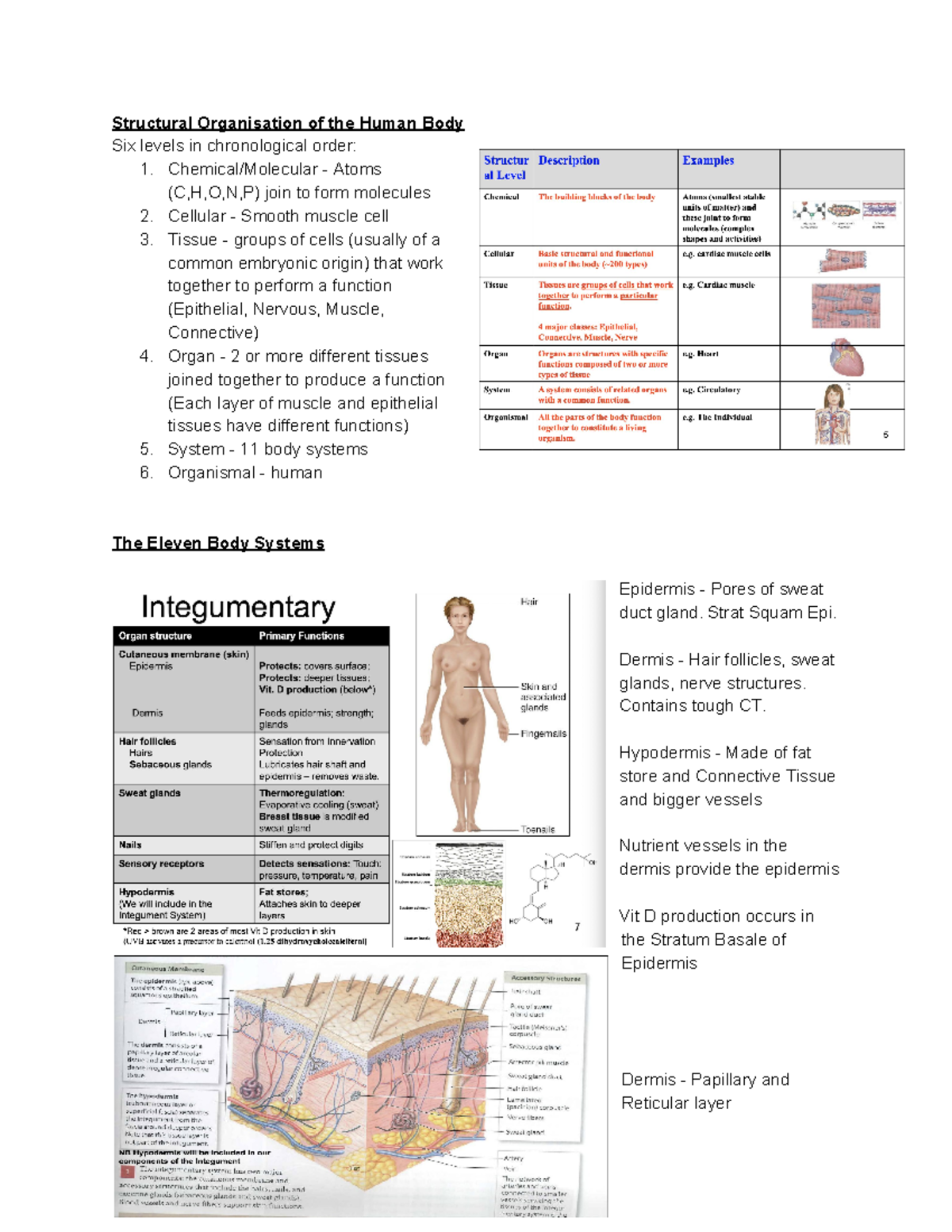 Body Systems - Lec 1 - Structural Organisation of the Human Body Six ...