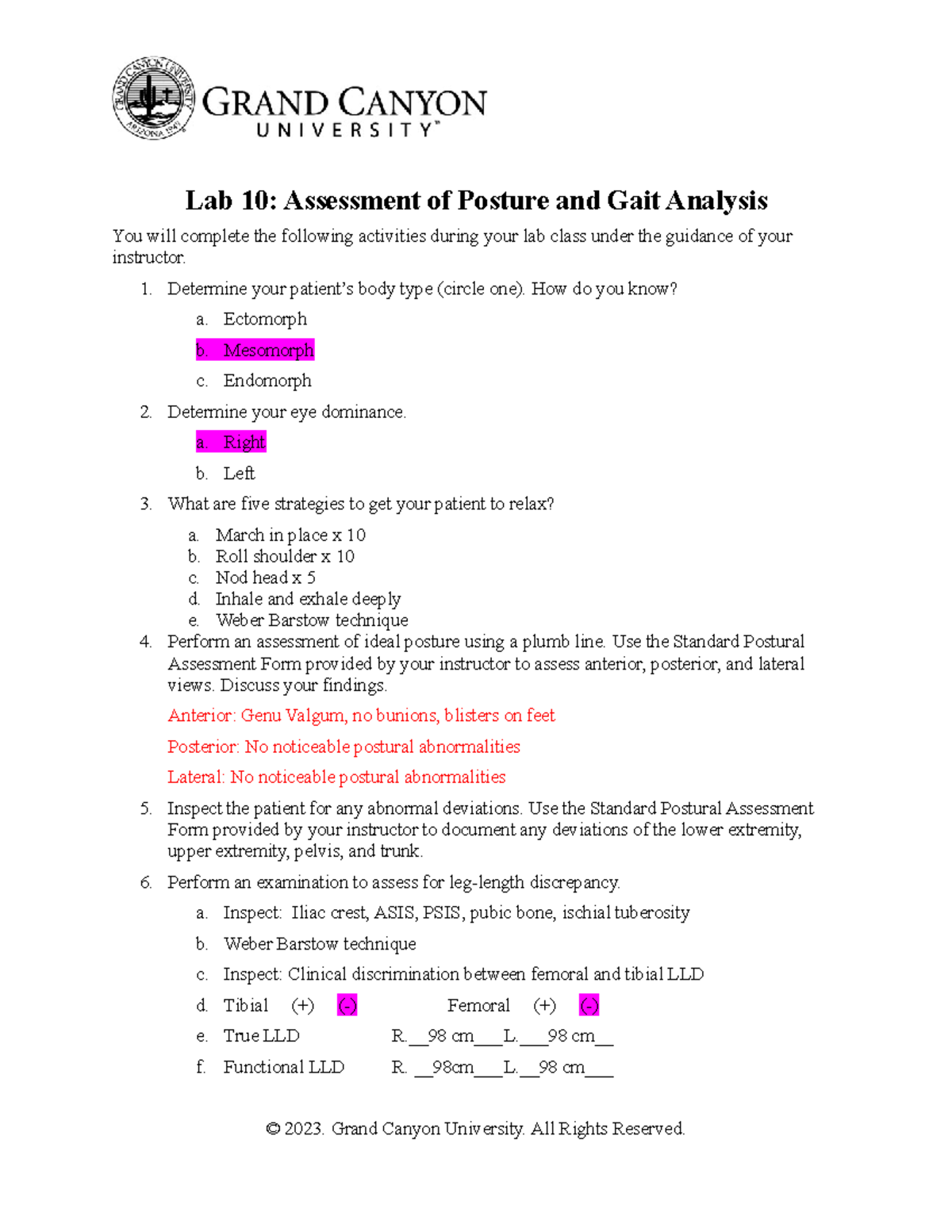 lab-10-assessment-of-posture-and-gait-analysis-lab-10-assessment-of