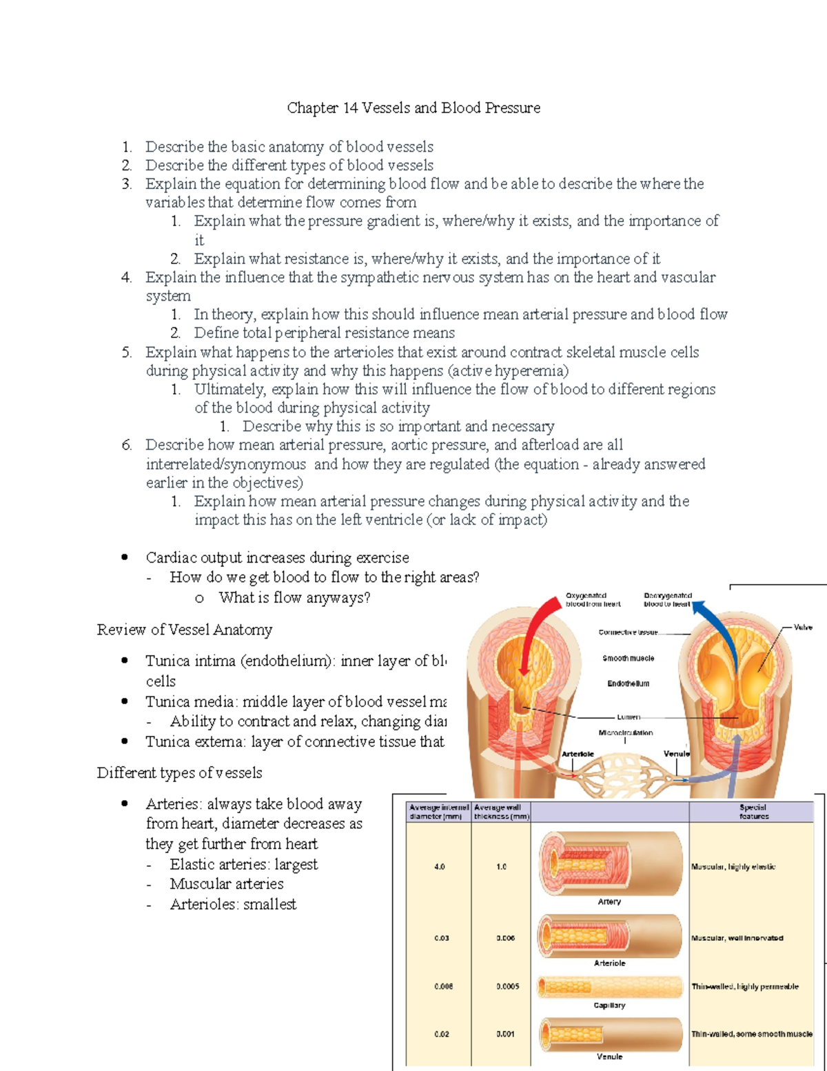 Chapter 14 Vessels And Blood Pressure - Chapter 14 Vessels And Blood 