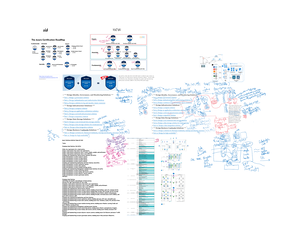 TPG201T S1 2022 Step By Step Example P2 D - TPG201T S1 – 2022 Tutorial ...