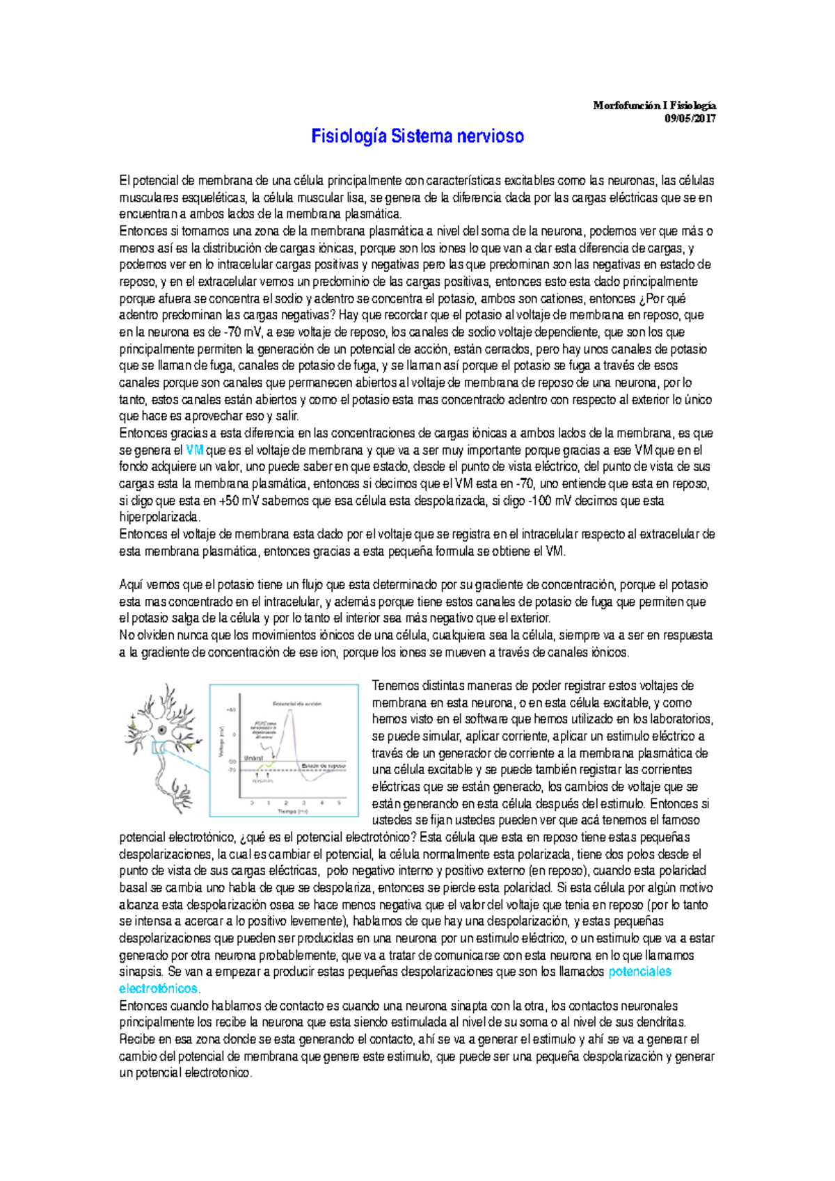 8 Fisiologia Sistema Nervioso Studocu