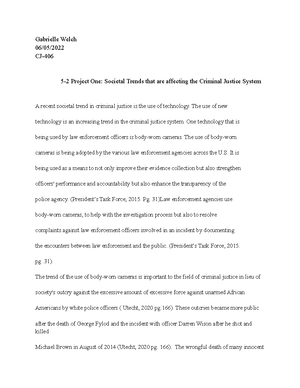 CJ 315 Module Three Assignment Template - CJ 315 Module Three ...