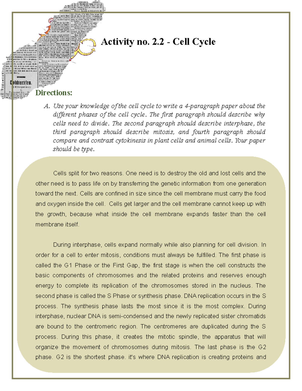 Activity 2.2 Cell Cycle - Activity No. 2 - Cell Cycle Directions: A ...