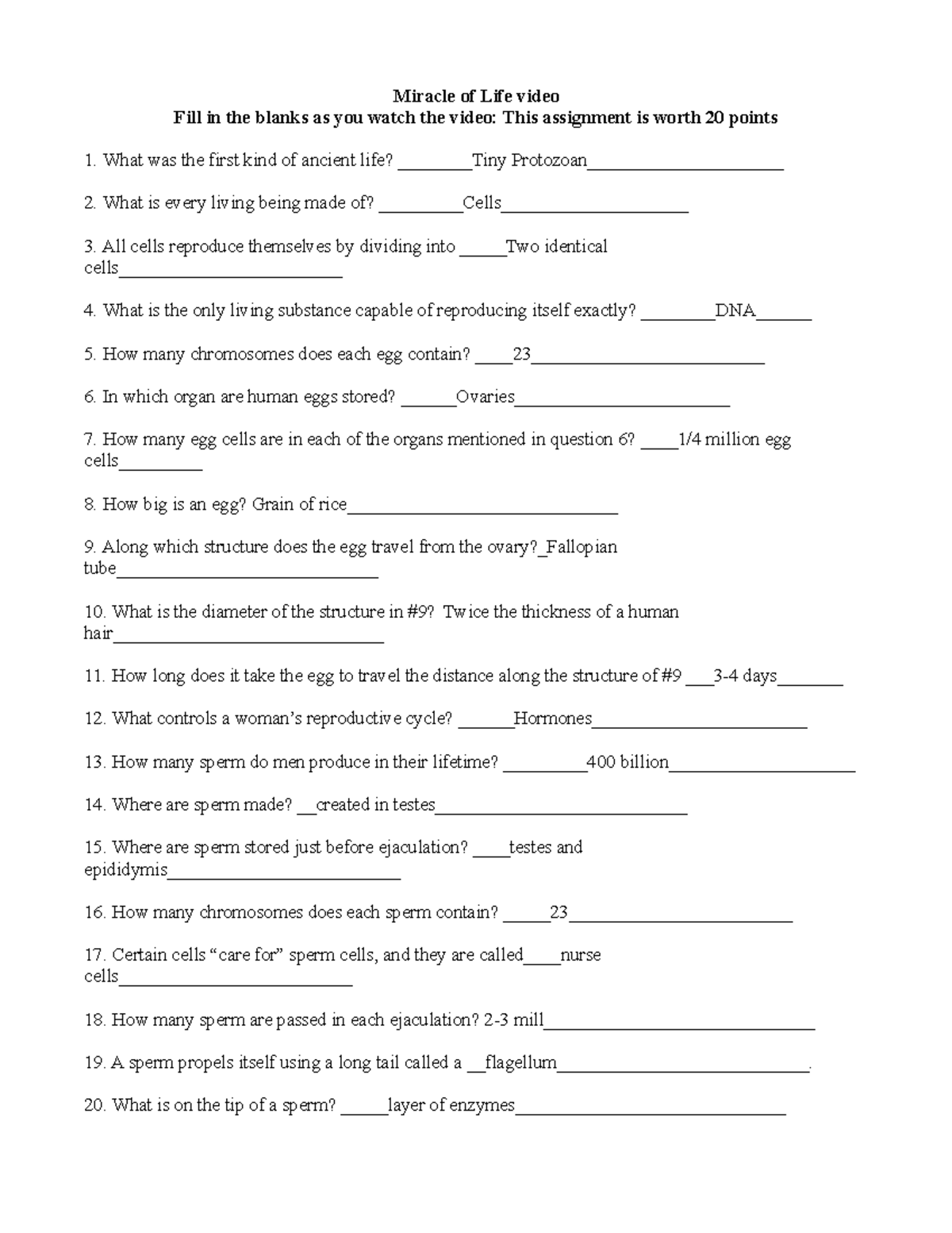 Ch2-Activity Worksheet Miracle of Life video Fill in the blanks as you