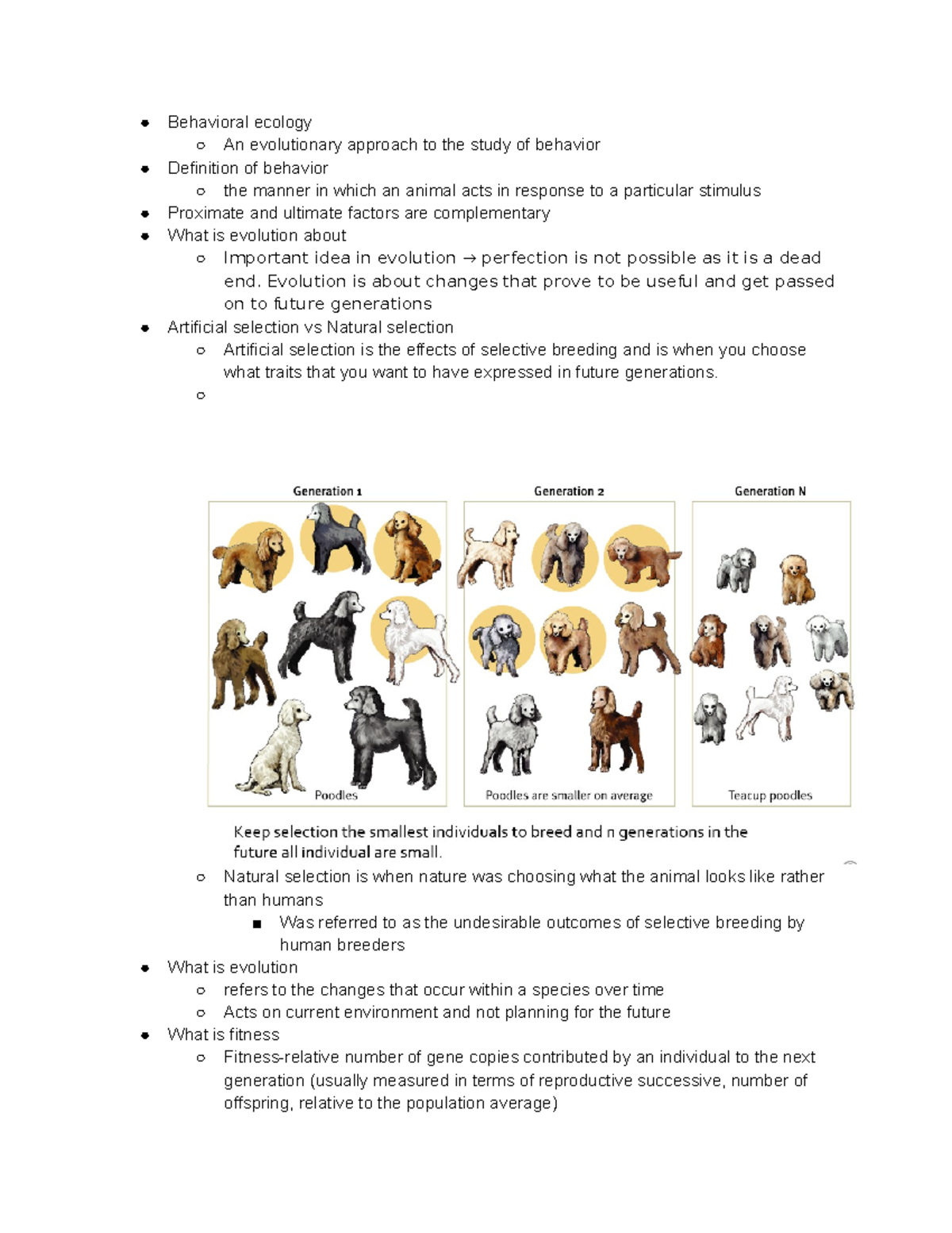 Real Study Guide - Professor Lipman - Behavioral ecology An ...