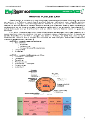 Câncer De Pulmão - C‚ncer De Pulm„o Compreender A Fisiopatologia Do CA ...