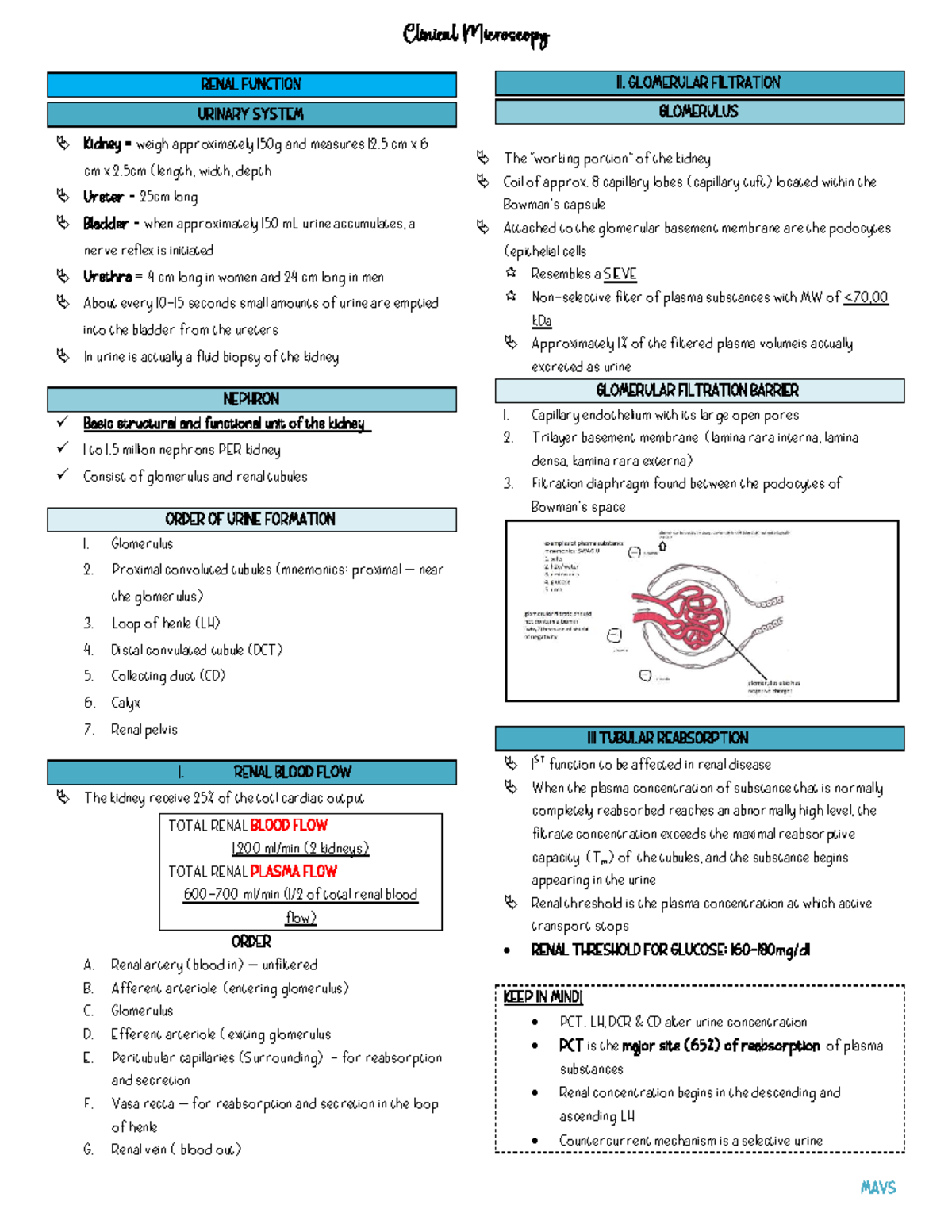 1 - clinical microscopy - Clinical Microscopy MAVS RENAL FUNCTION ...