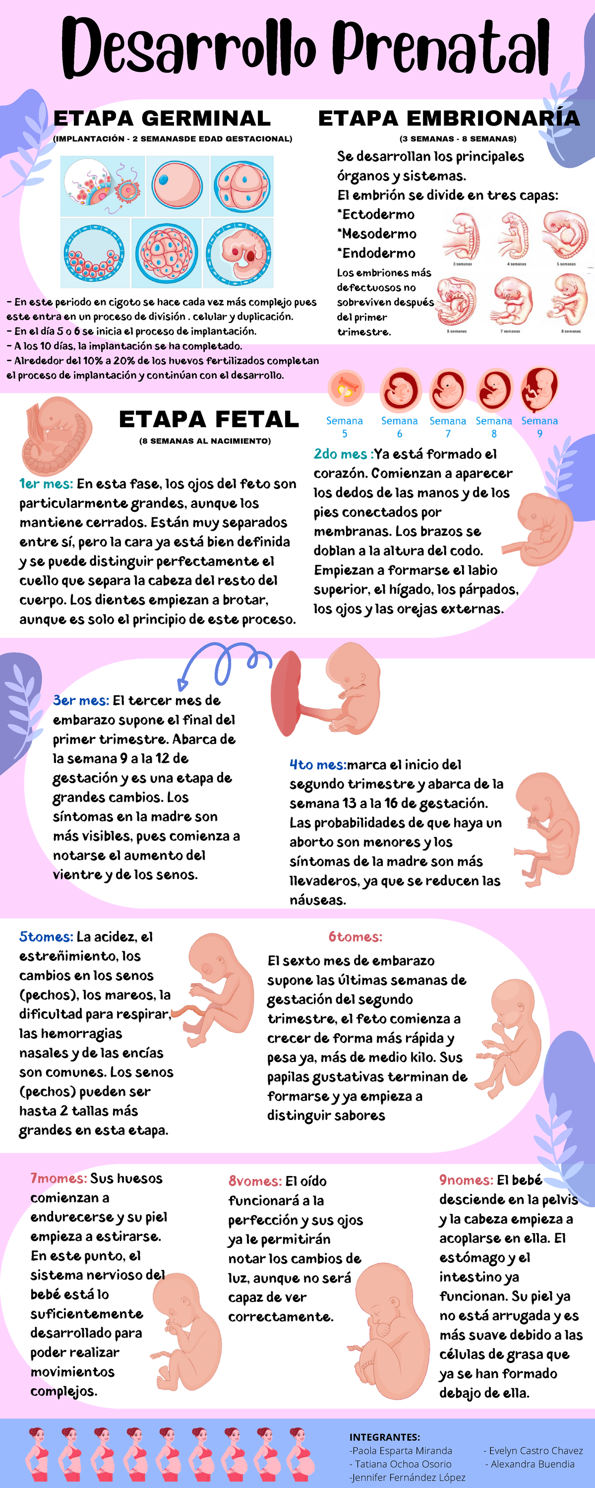 Infografia De Desarrollo Humano Prenatal O Embarazo Es La Etapa The Sexiezpix Web Porn 