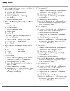 Respiratory system test bank - Human Anatomy & Physiology, 11e (Marieb ...