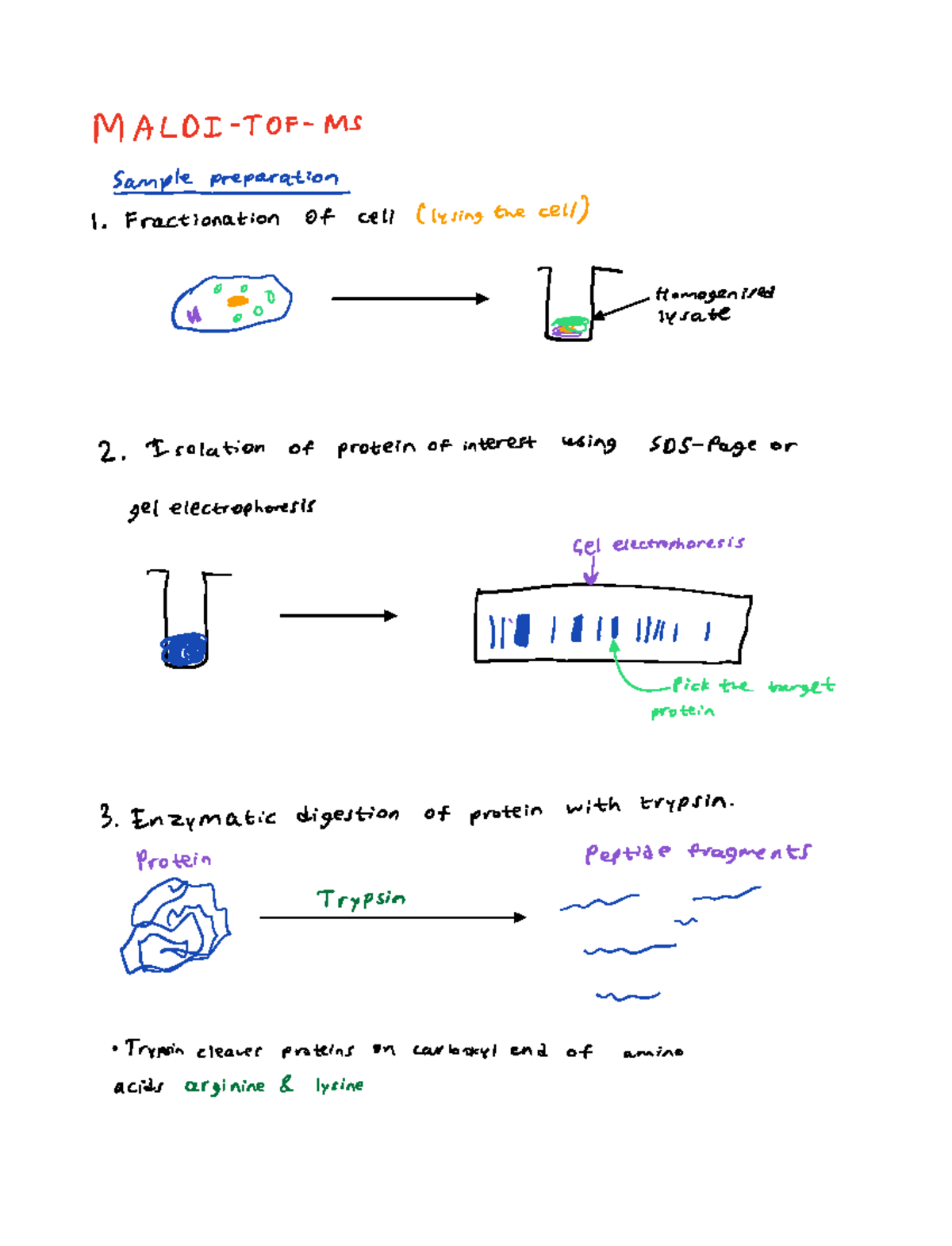 Maldi-TOF-MS - MALDITOF Summary - MALDI TOF Ms I IonIt NEIcec Using The ...