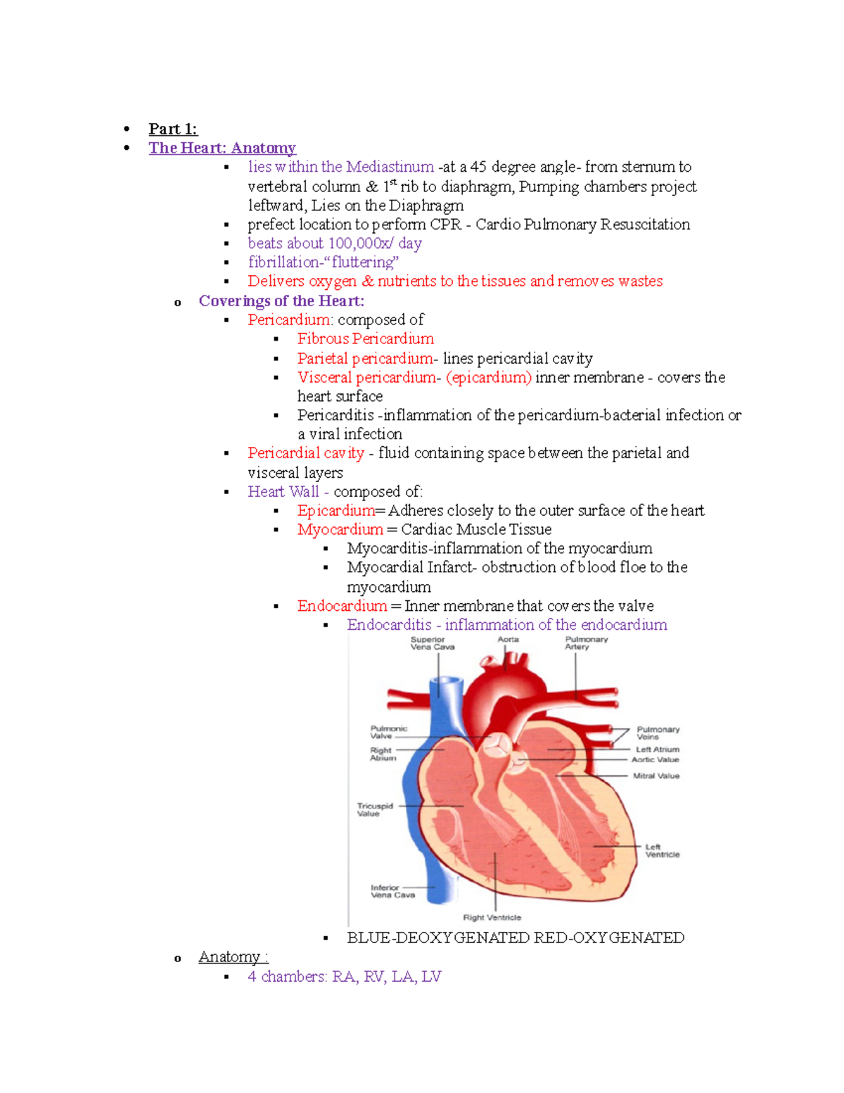 Anatomy heart notes - Part 1: The Heart: Anatomy lies within the ...