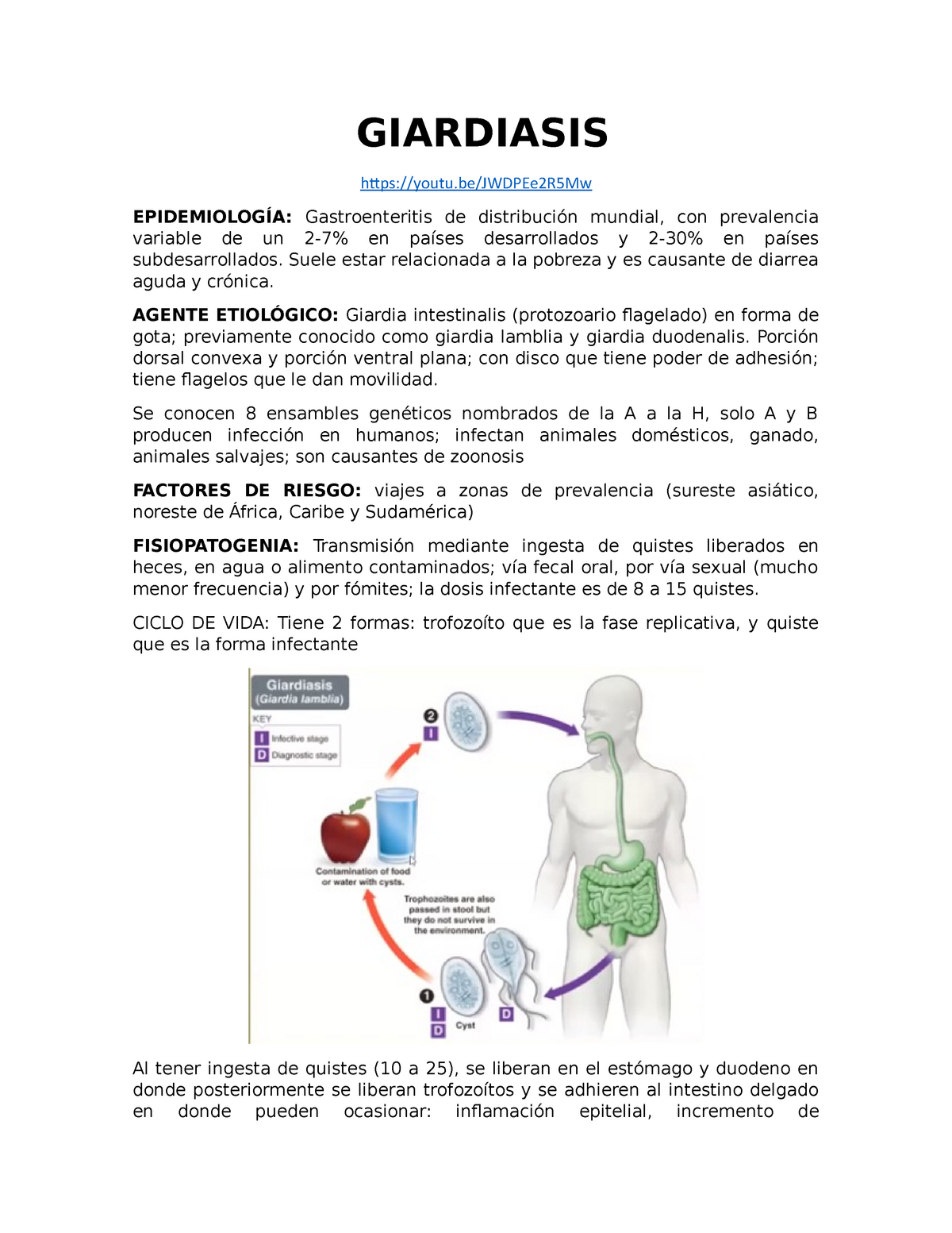 quistes de giardia en heces