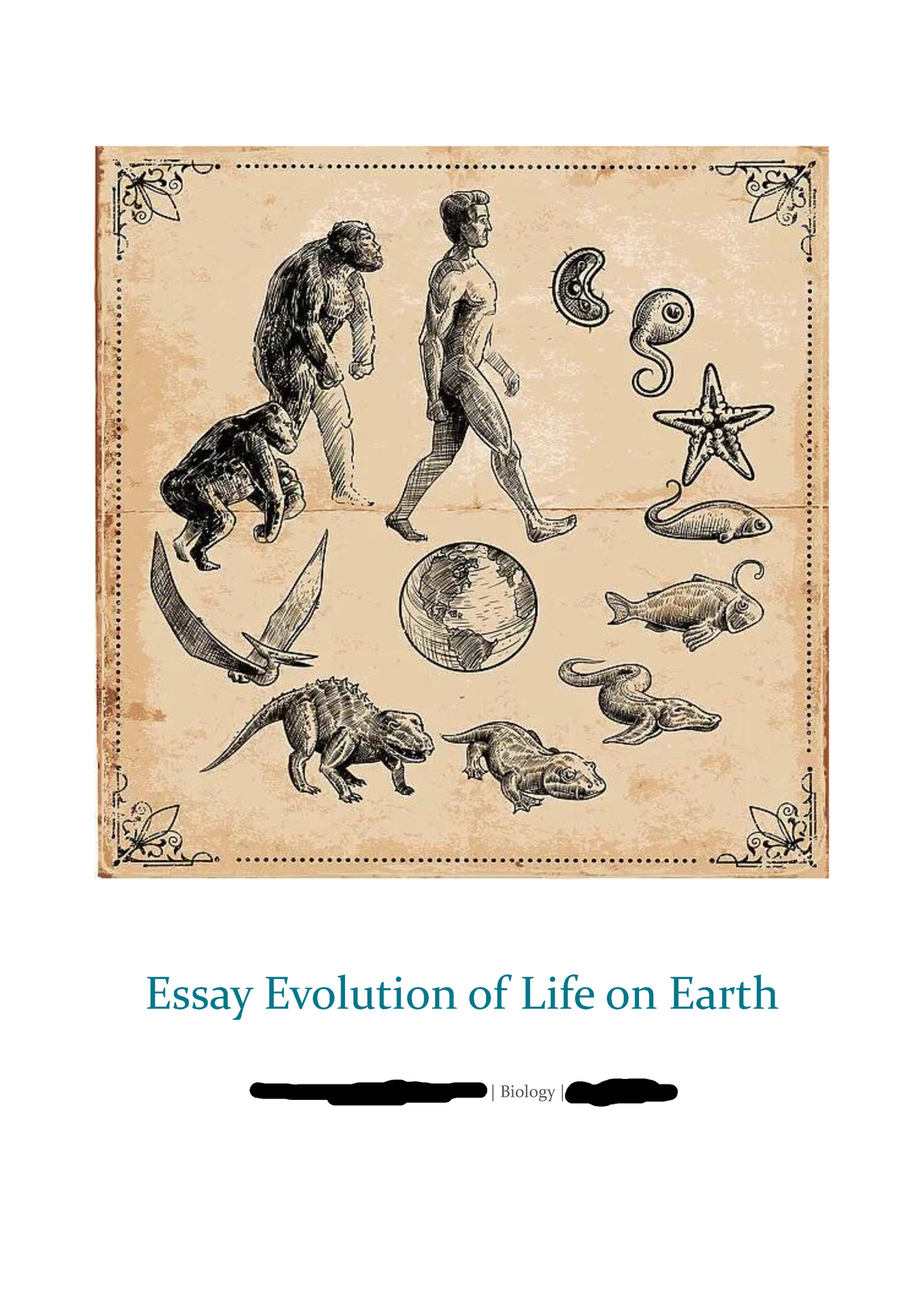 short essay on evolution of life